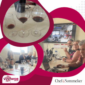 Dégustation d'un vin dans 3 verres Chef&Sommelier