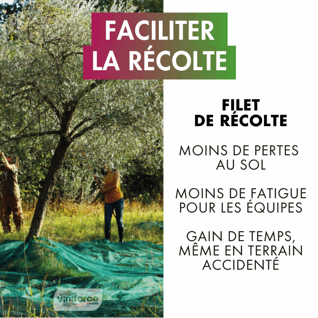 Faciliter la rĂ©colte : rĂ©colter, câest aussi anticiper