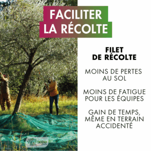 Faciliter la récolte : récolter, c’est aussi anticiper