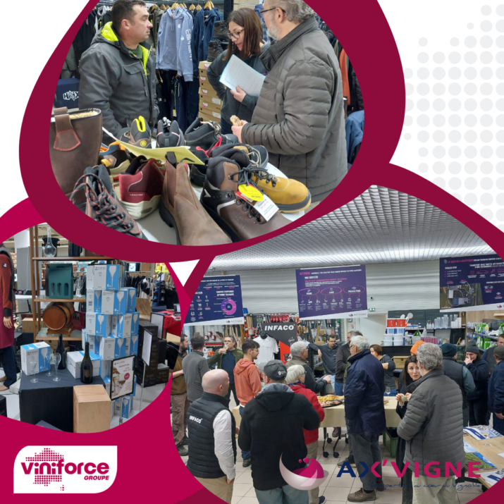 journées placées sous le signe du "confort et de la sécurité" dans le vignoble