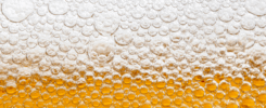 Fête de la bière - Oktoberfest 2025