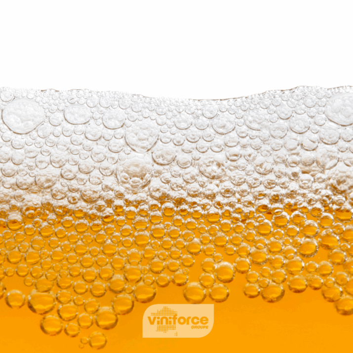 Fête de la bière - Oktoberfest 2025